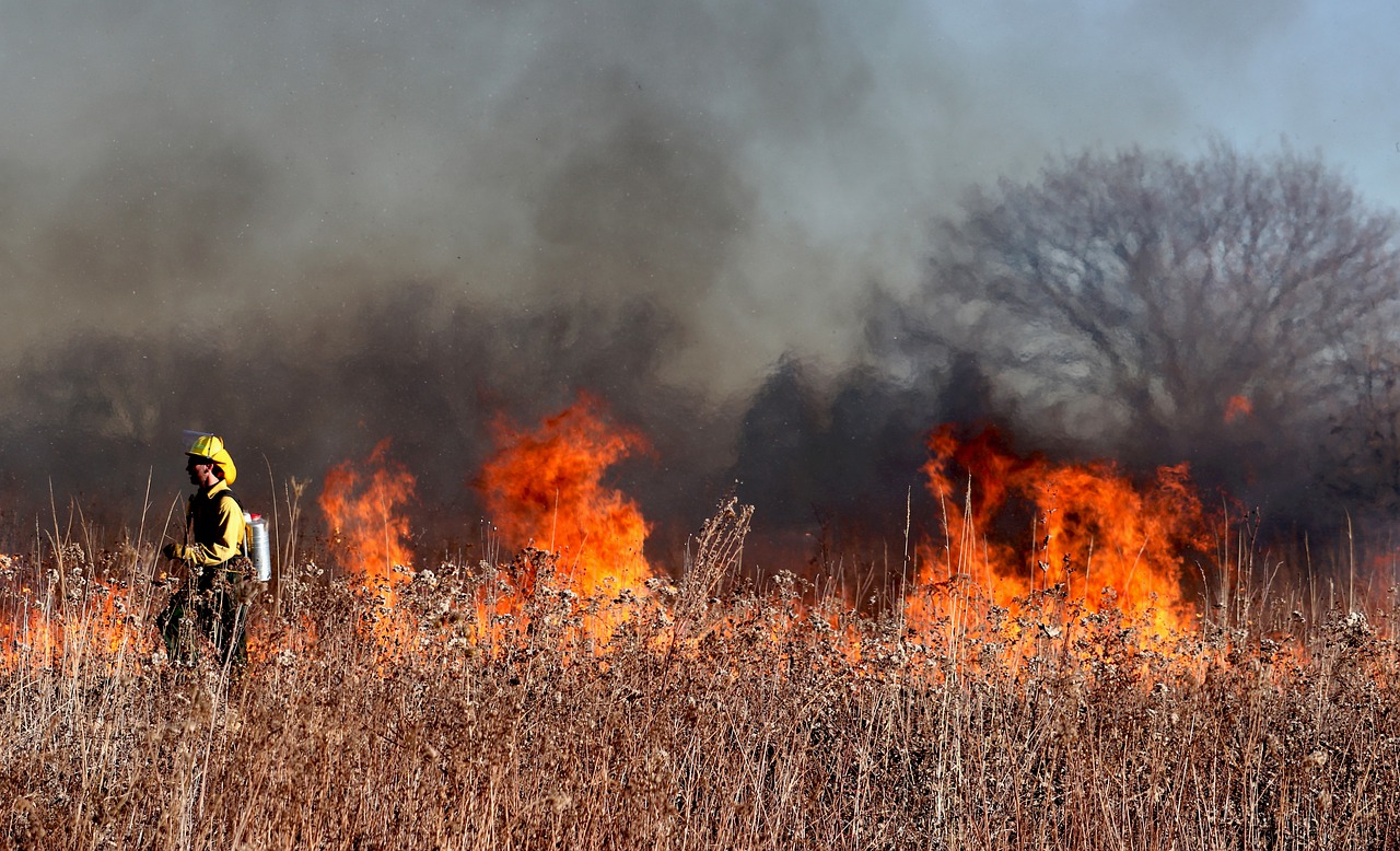 Why Are Wildfires in North America Getting Worse?